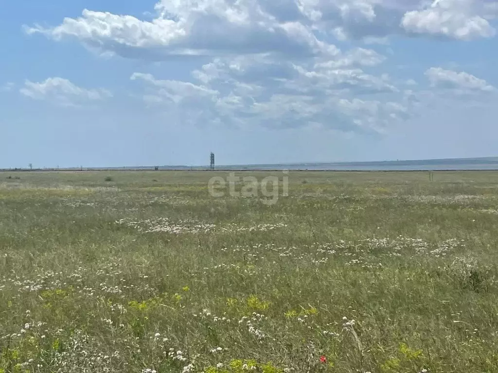 Участок в Крым, Евпатория городской округ, Новоозерное пгт пл. ... - Фото 1