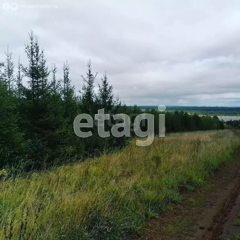 Участок в Пермский муниципальный округ, деревня Кулики, Олимпийская ... - Фото 1