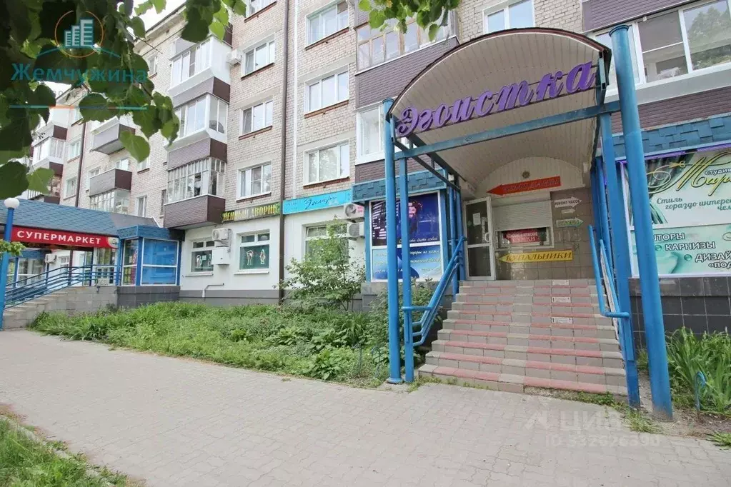 Помещение свободного назначения в Ульяновская область, Димитровград ... - Фото 1