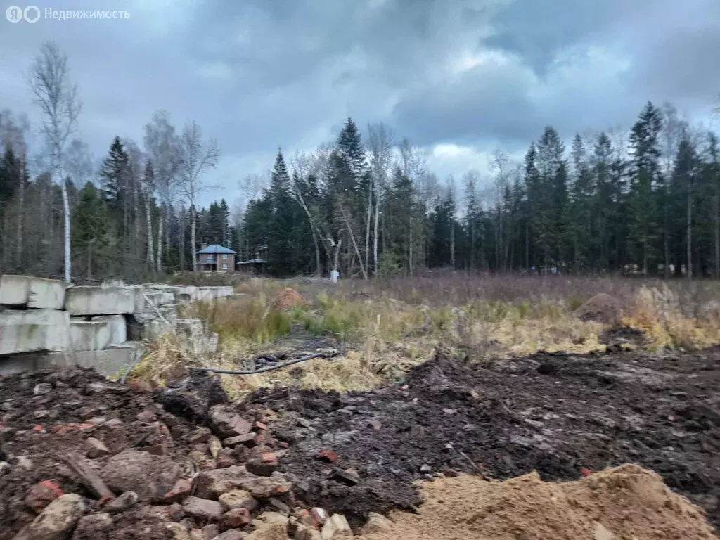 Участок в Московская область, городской округ Пушкинский, деревня ... - Фото 1