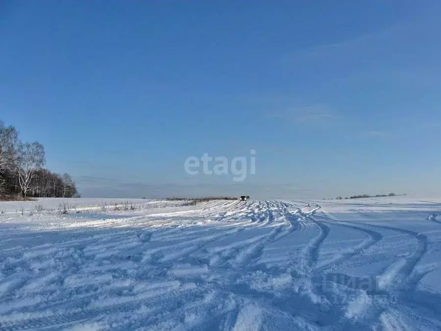 Участок в Пензенская область, Пенза Родниковая ул. (16.0 сот.) - Фото 0