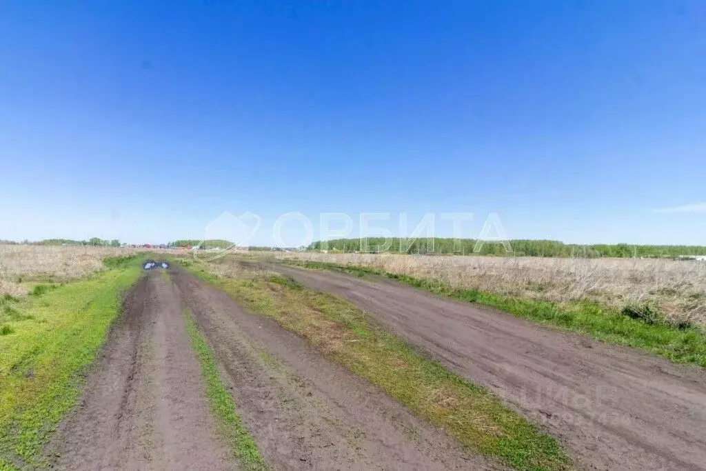 Участок в Тюменская область, Тюменский район, д. Большие Акияры  (8.4 ... - Фото 2