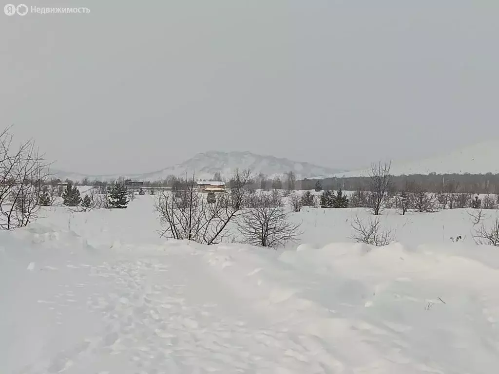 Участок в Айский сельсовет, территория Черемшанка (15 м) - Фото 2