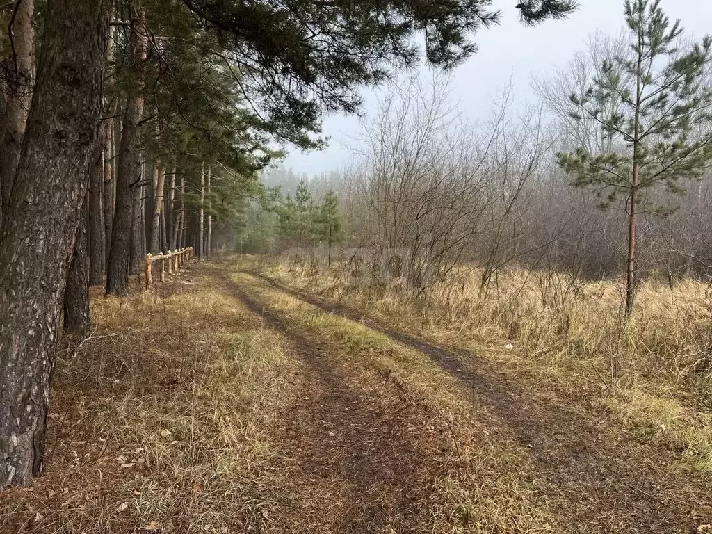 Участок в Тамбовская область, Тамбовский муниципальный округ, с. ... - Фото 1
