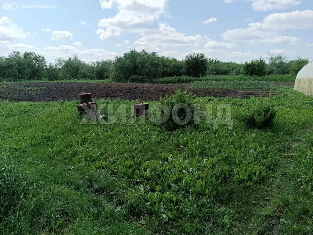 Дом в село Дергаусово, Заречная улица (49.5 м) - Фото 1