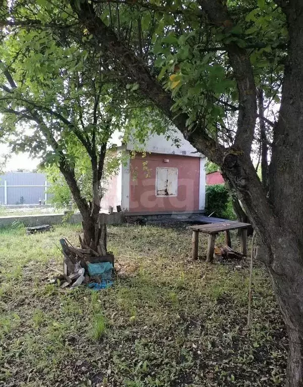Дом в Липецкая область, Липецк Мечта СНП, 41 (42 м) - Фото 1
