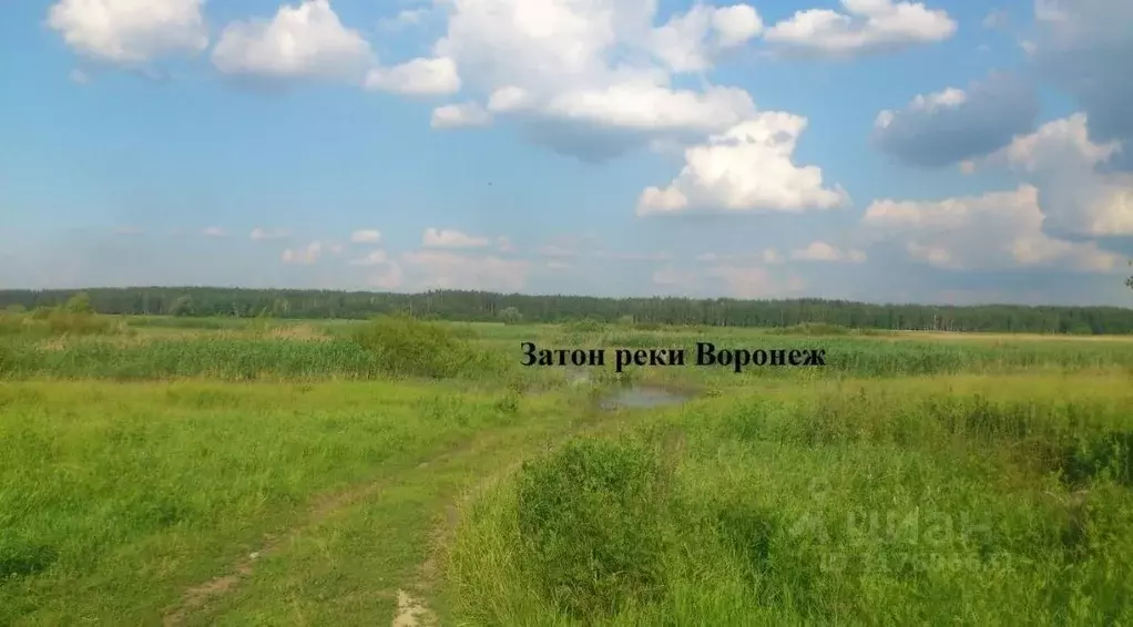 Участок в Липецкая область, Липецкий муниципальный округ, с. Подгорное ... - Фото 1