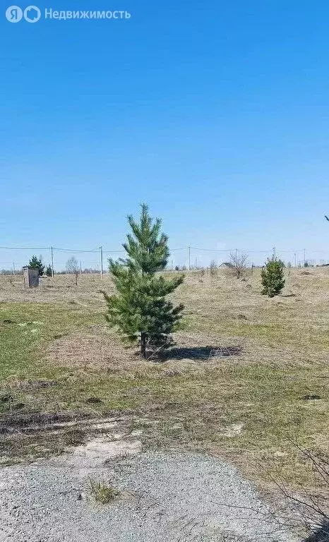 Участок в Майминский район, село Подгорное, Светлая улица (7.19 м) - Фото 2