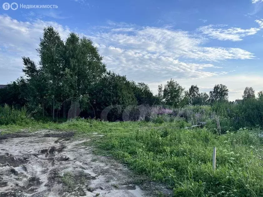 Участок в Нижнетавдинский район, село Тюнево (32.4 м) - Фото 0