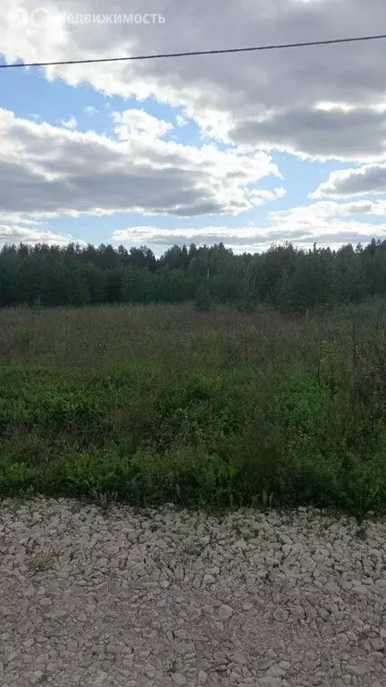 Участок в муниципальное образование Киров, деревня Олинцы, Липовая ... - Фото 2