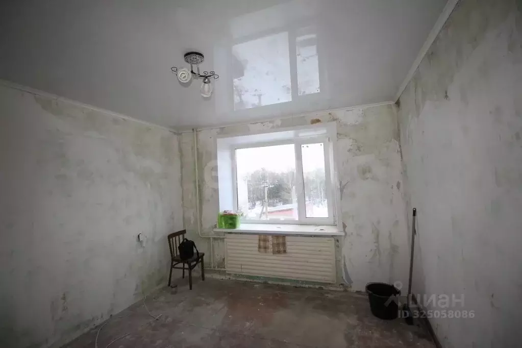 Комната Вологодская область, Шексна рп, Шексна Северная мкр ул. ... - Фото 1