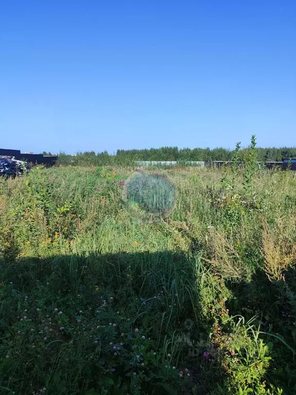 участок в московская область, раменский городской округ, с. верхнее . - Фото 1