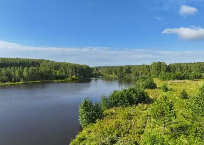 Участок в Свердловская область, Екатеринбург Шабровские дачи жилой ... - Фото 1