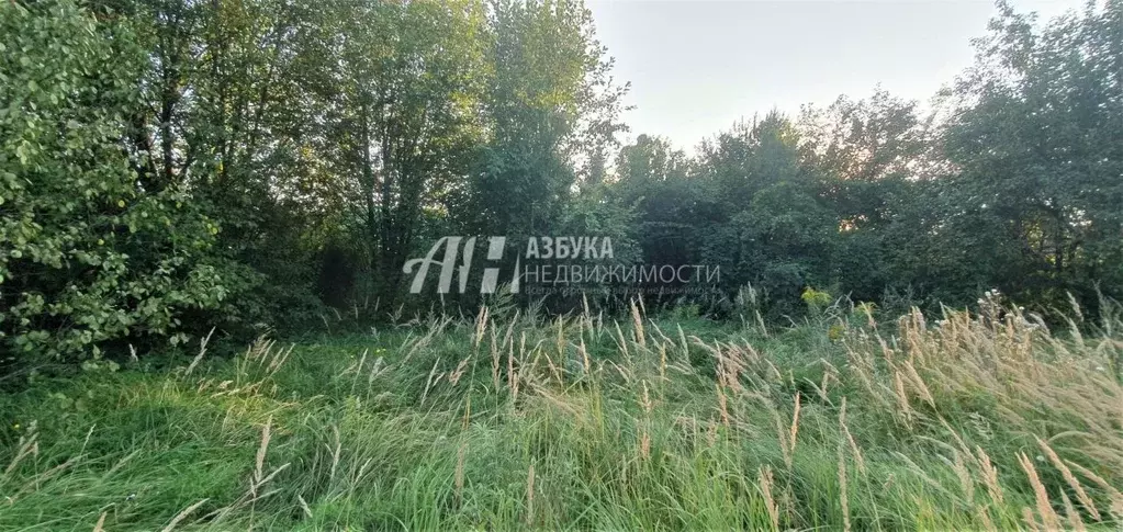 Участок в Московская область, Одинцовский городской округ, Матвейково ... - Фото 0