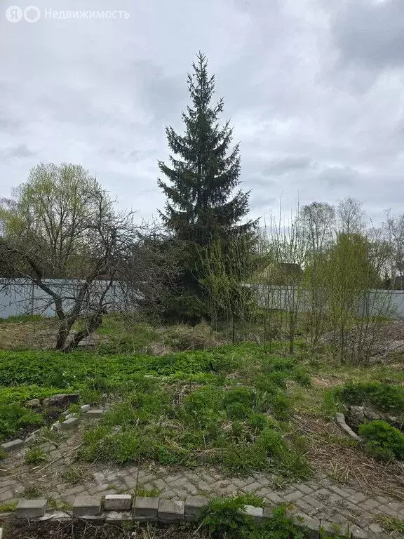 Участок в посёлок Петро-Славянка, улица Первого Мая, 34 (15 м) - Фото 1