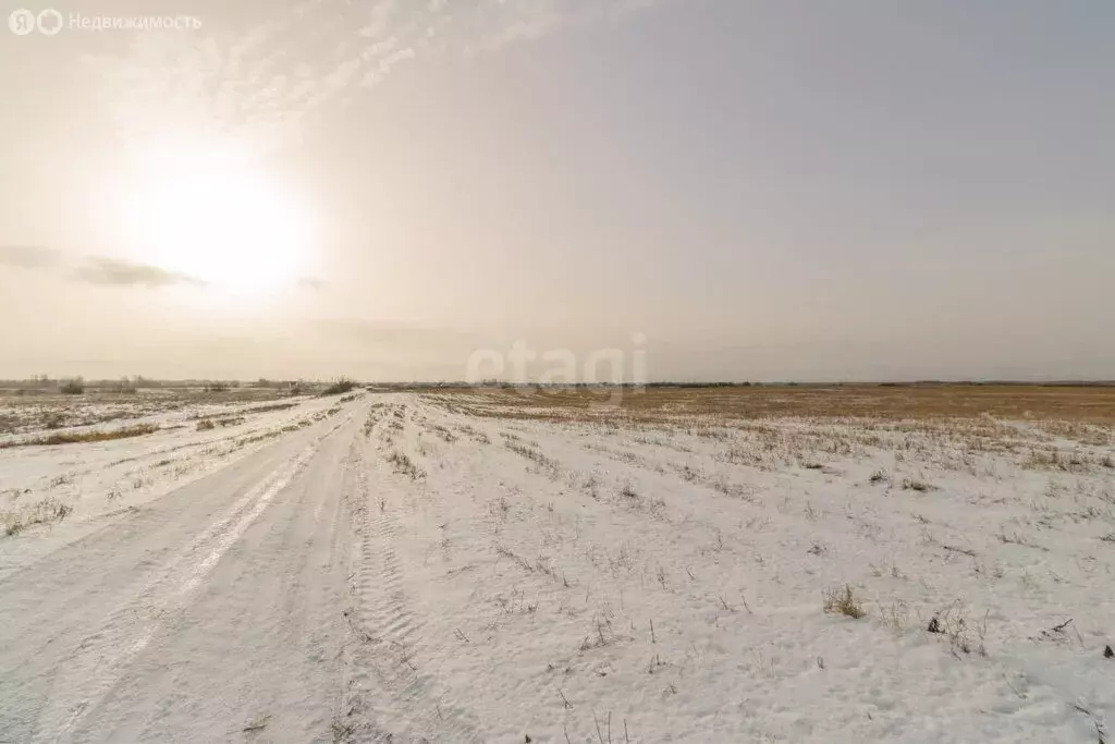 Участок в Красноармейский район, село Канашево (10 м) - Фото 1