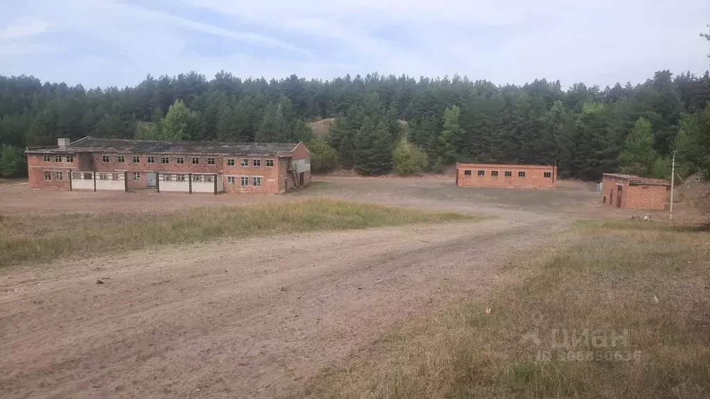 Склад в Саратовская область, Балашовский район, с. Репное ул. Карла ... - Фото 1