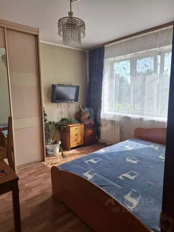 4-к кв. Амурская область, Благовещенск Свободная ул., 261 (70.0 м) - Фото 2