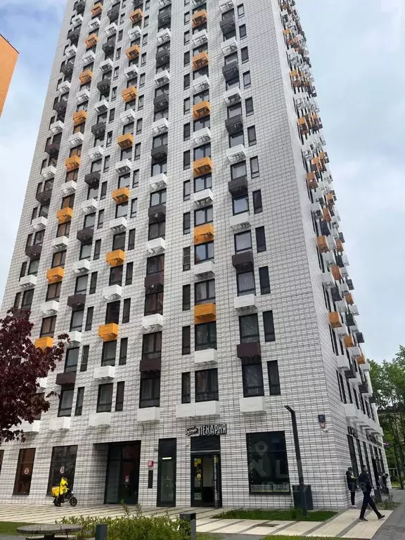 Студия Москва 1-й Грайвороновский проезд, 11к1 (21.0 м) - Фото 0