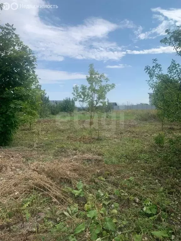 Участок в Рамонский район, Берёзовское сельское поселение, деревня ... - Фото 2