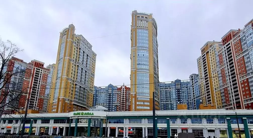 1-к кв. Санкт-Петербург просп. Просвещения, 43 (40.3 м) - Фото 2