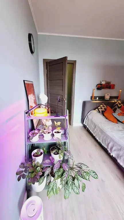 Продаётся 1-к квартира, 34.5 м - Фото 1
