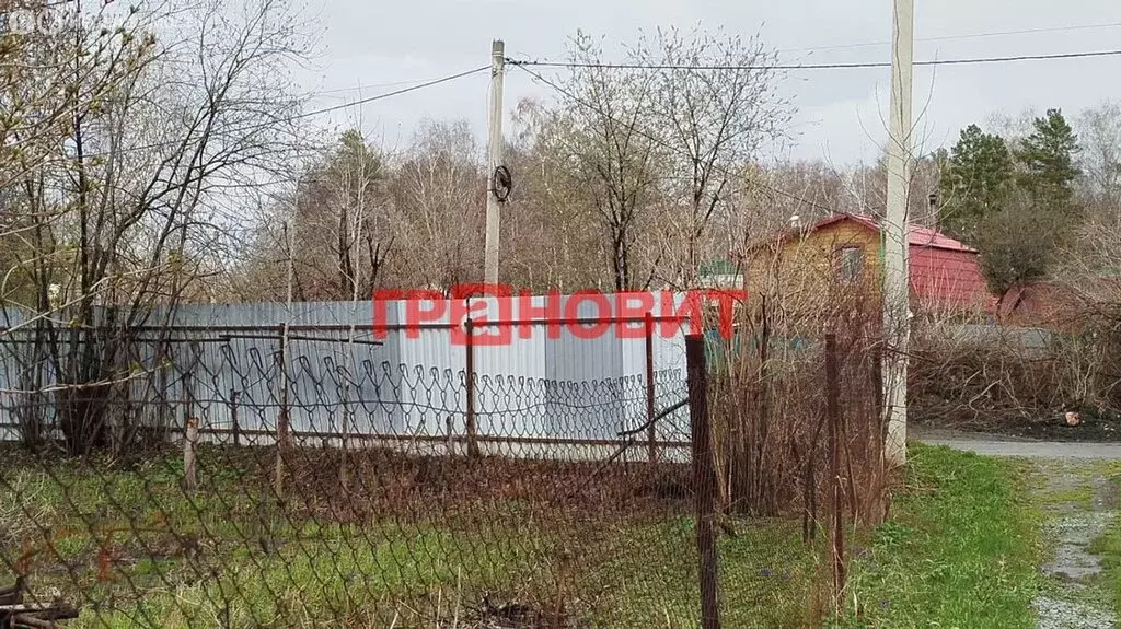 Участок в Новосибирск, СНТ Кедр, 388А (8.41 м) - Фото 0