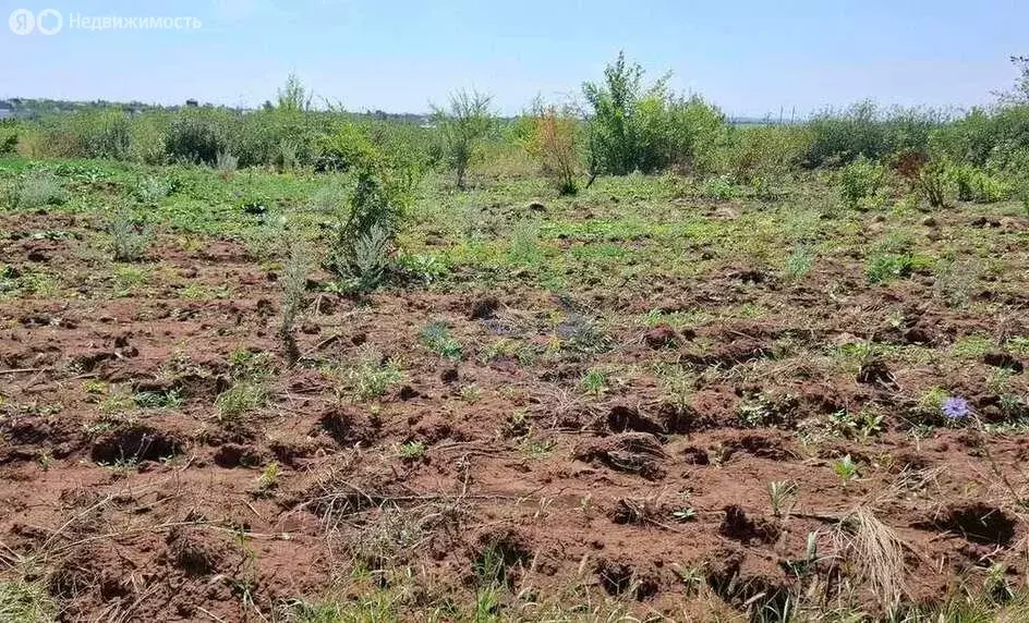 Участок в Оренбургский район, Ленинский сельсовет, СНТ Мечта (8 м) - Фото 1