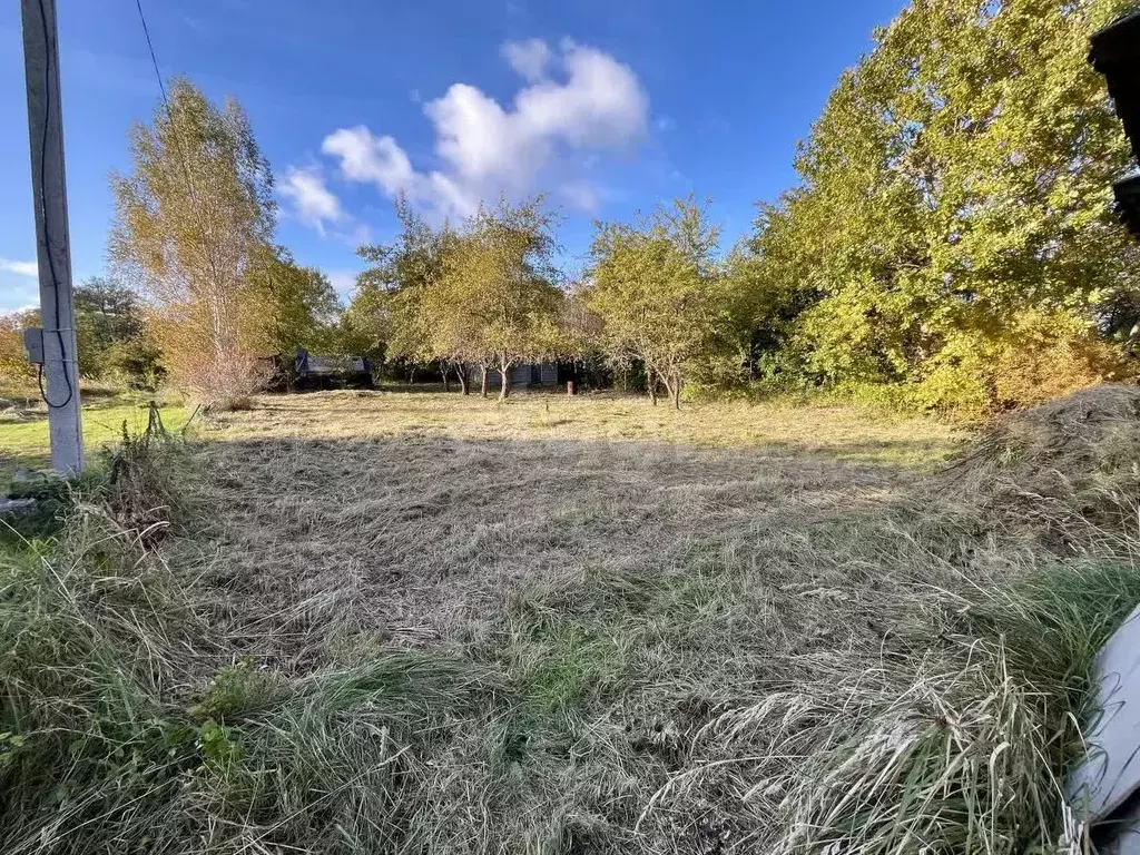 Участок в Калининградская область, Багратионовский муниципальный ... - Фото 2