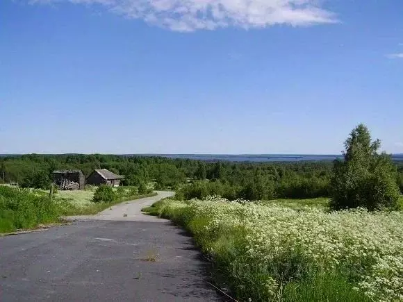 Участок в Карелия, Медвежьегорский район, Великогубское с/пос, д. ... - Фото 1
