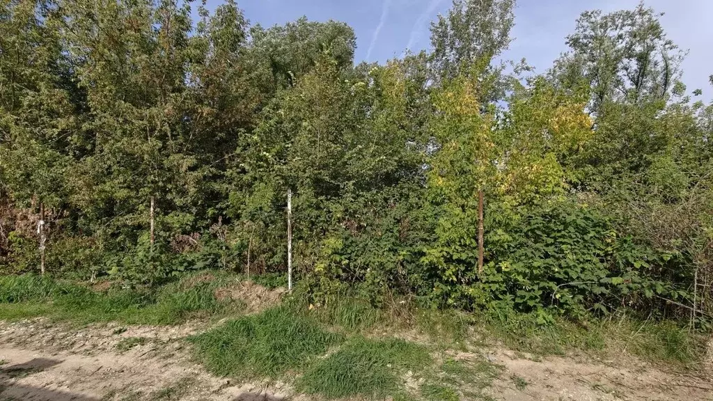 Участок в Московская область, Ленинский городской округ, Молоково пгт ... - Фото 2