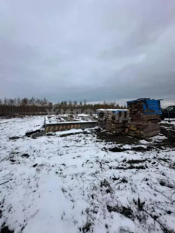 Участок в Новосибирская область, Колыванский район, Большая Семья СНТ  ... - Фото 1