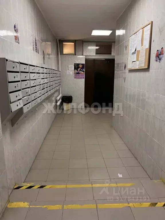 1-к кв. Новосибирская область, Новосибирск ул. Кошурникова, 4 (36.2 м) - Фото 1