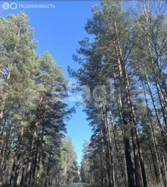 Участок в Кубовинский сельсовет, СНТ Лидер (8.7 м) - Фото 1