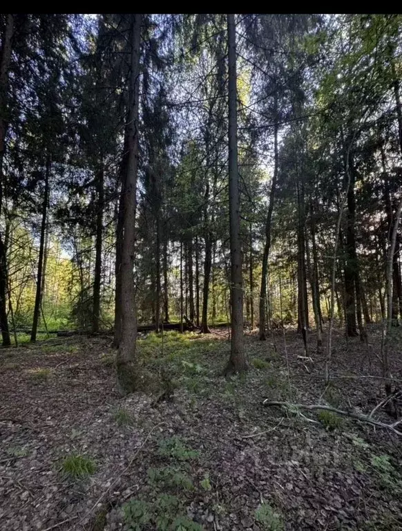 Участок в Московская область, Талдомский городской округ, д. ... - Фото 1