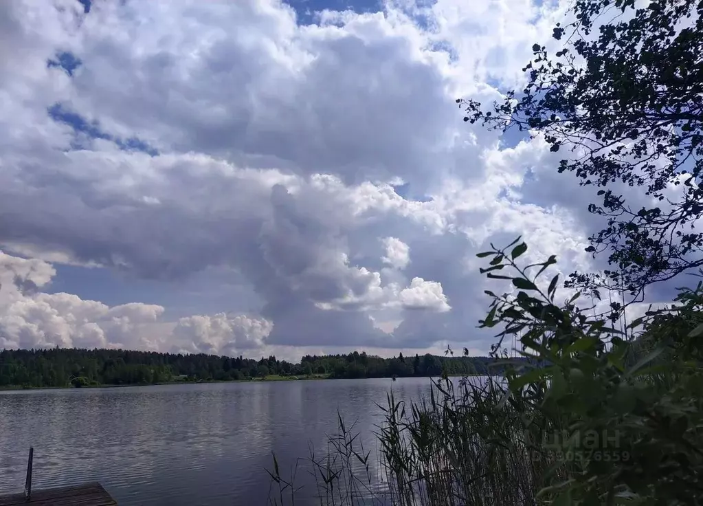 Участок в Ленинградская область, Выборгский район, Каменногорское ... - Фото 1