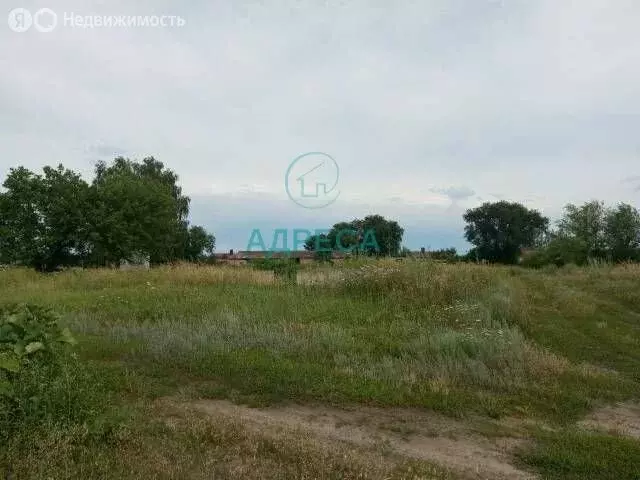 Участок в Ездочное, Первомайская улица (14 м) - Фото 0