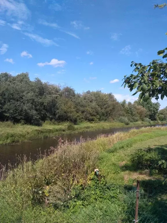 Участок в Ленинградская область, Тосненский район, Трубникоборское ... - Фото 0