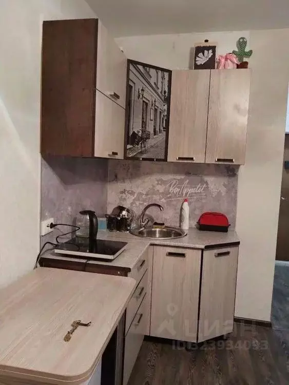 Студия Иркутская область, Иркутск ул. Маршала Конева, 20 (18.3 м) - Фото 1