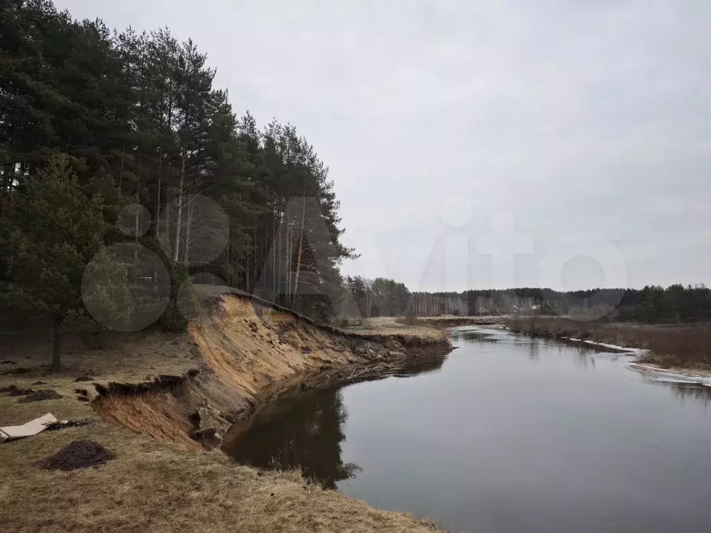 Участок 5,38 га (СНТ, ДНП) - Фото 0