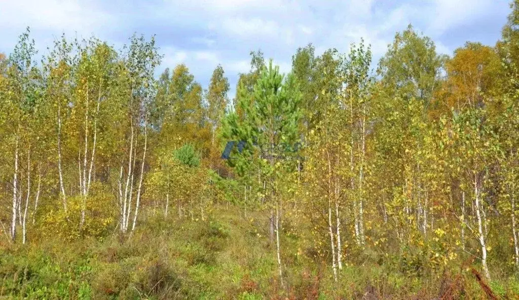 Участок в Ярославская область, Гаврилов-Ямский муниципальный округ, ... - Фото 2