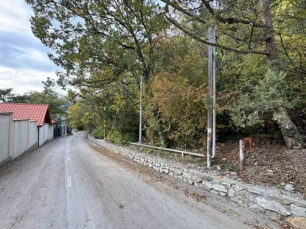 Участок в Крым, Ялта муниципальный округ, Восход пгт ул. Наташинская ... - Фото 2