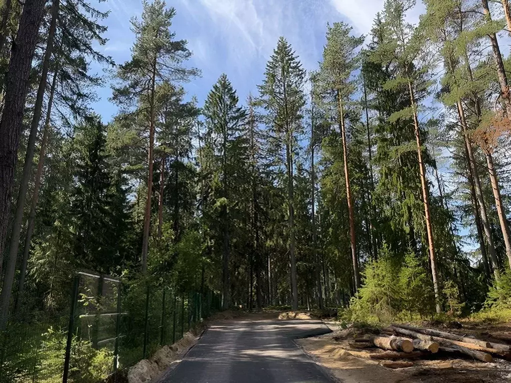 Участок в Санкт-Петербург пос. Репино, Завокзальная ул., 10 (50.0 ... - Фото 1