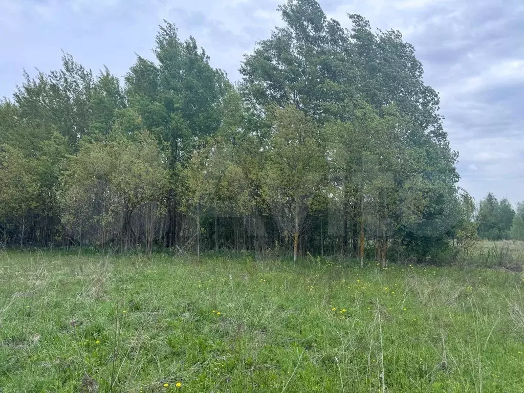 Участок 6 сот. (СНТ, ДНП) - Фото 1