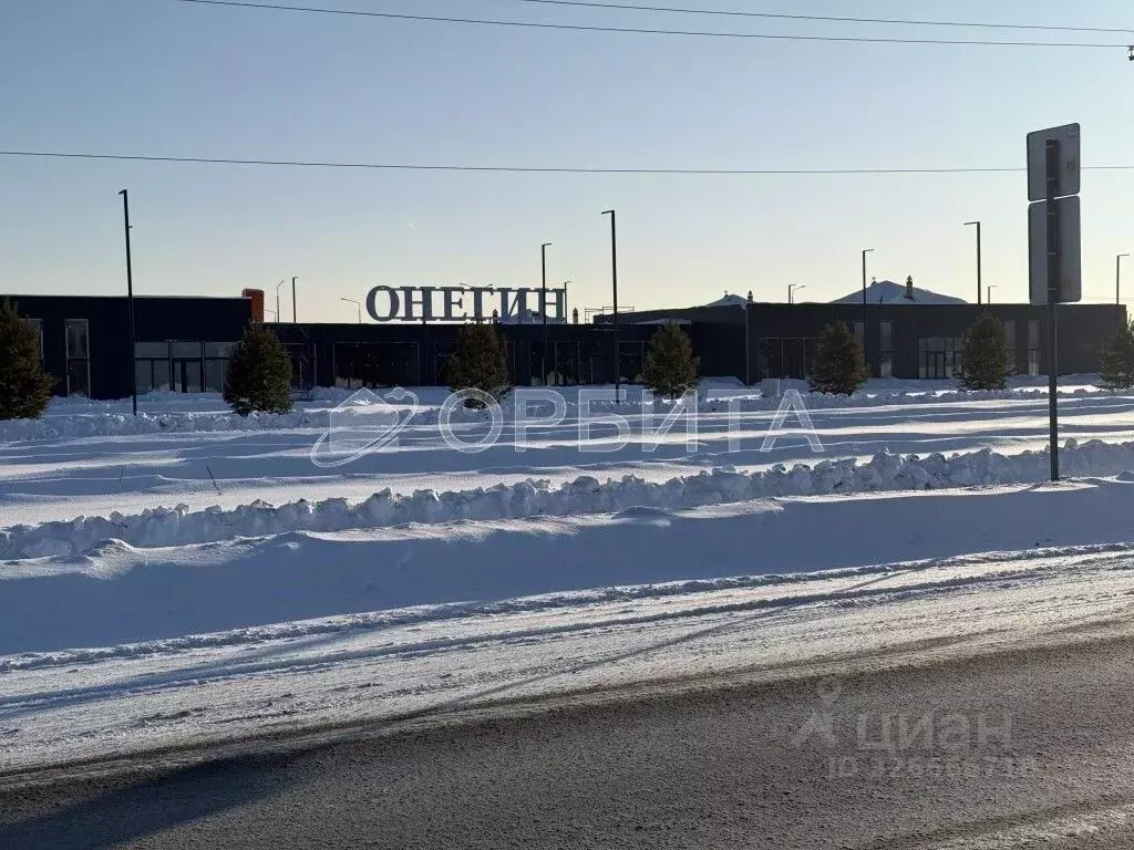 Участок в Тюменская область, Тюменский муниципальный округ, ... - Фото 2