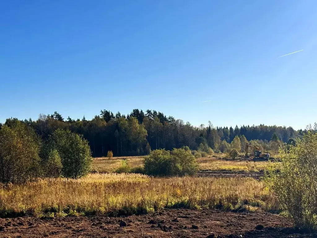 Участок в Московская область, Дмитровский муниципальный округ, Ерыково ... - Фото 2