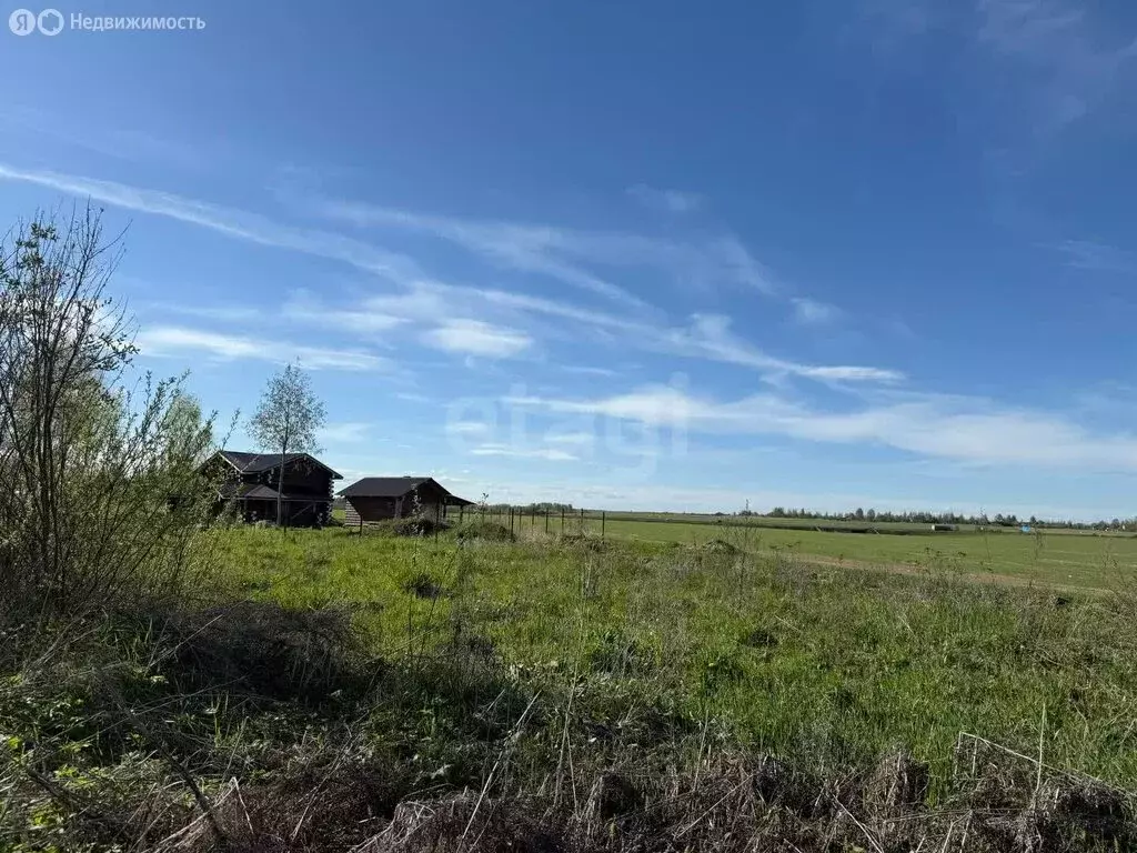 Участок в Вологодский муниципальный округ, деревня Подберевское (17.68 ... - Фото 0
