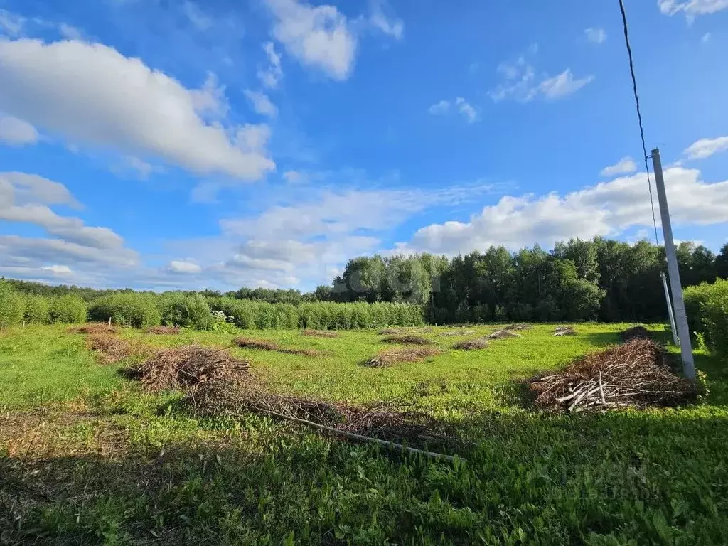Участок в Коми, Сыктывдинский район, с. Выльгорт  (11.4 сот.) - Фото 2