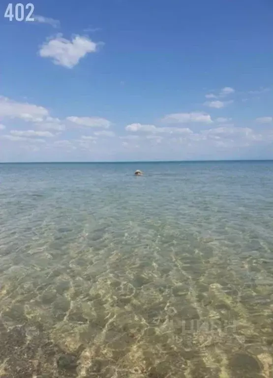 Участок в Крым, Сакский район, Молочненское с/пос, с. Витино  (10.0 ... - Фото 2