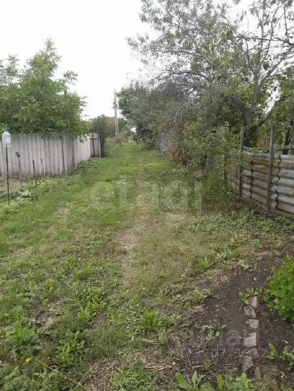 Участок в Белгородская область, Корочанский район, Мелиховское с/пос, ... - Фото 1